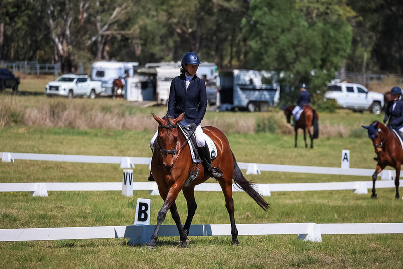 tEG 3DE 2025 Friday Dressage -1485.jpg