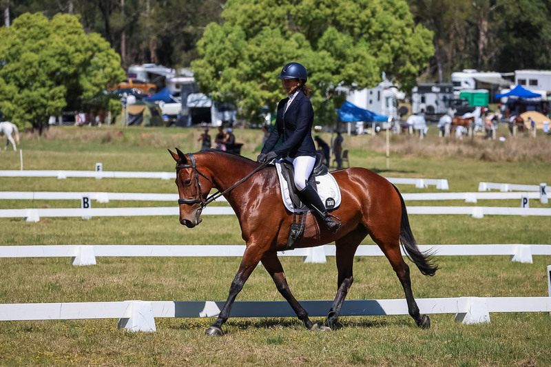 tEG 3DE 2025 Friday Dressage -1487.jpg