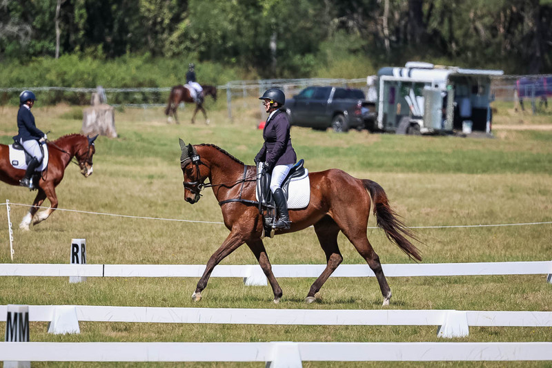 tEG 3DE 2025 Friday Dressage -1490.jpg