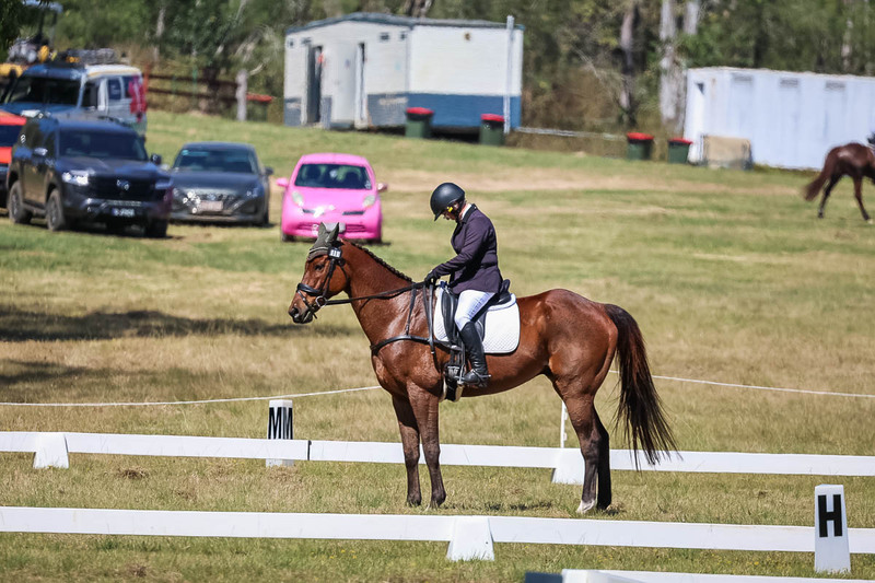 tEG 3DE 2025 Friday Dressage -1493.jpg