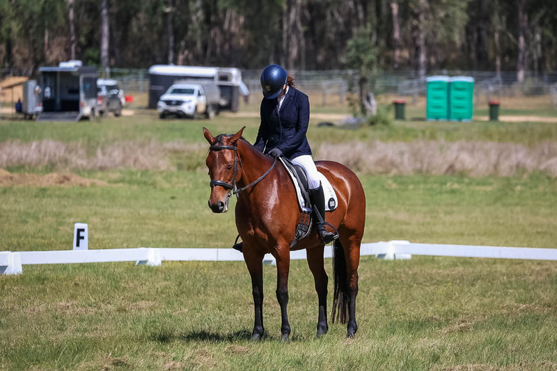 tEG 3DE 2025 Friday Dressage -1494.jpg
