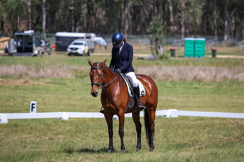 tEG 3DE 2025 Friday Dressage -1495.jpg
