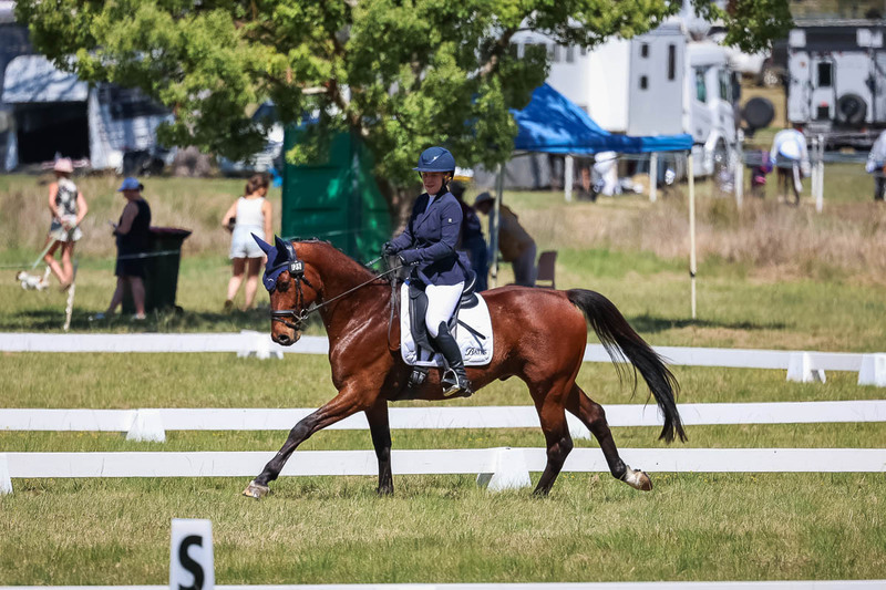 tEG 3DE 2025 Friday Dressage -1498.jpg