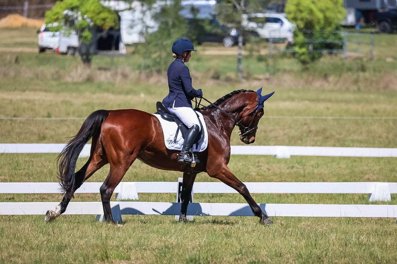 tEG 3DE 2025 Friday Dressage -1506.jpg
