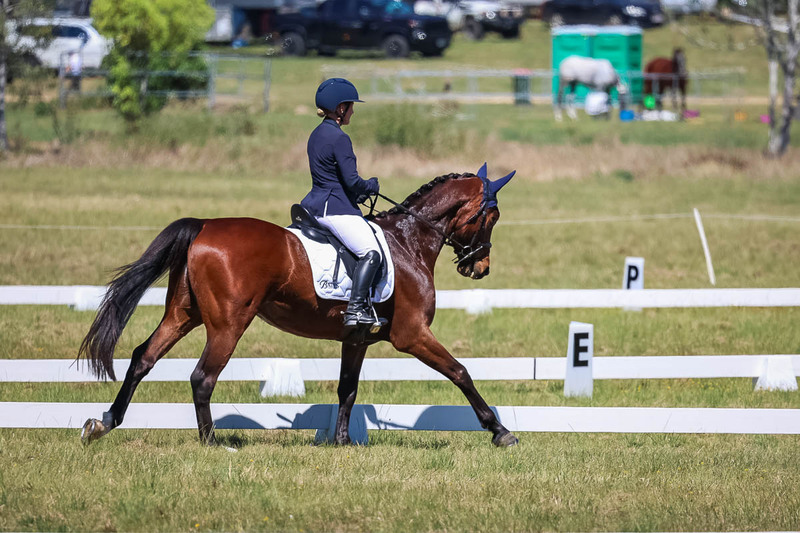 tEG 3DE 2025 Friday Dressage -1507.jpg