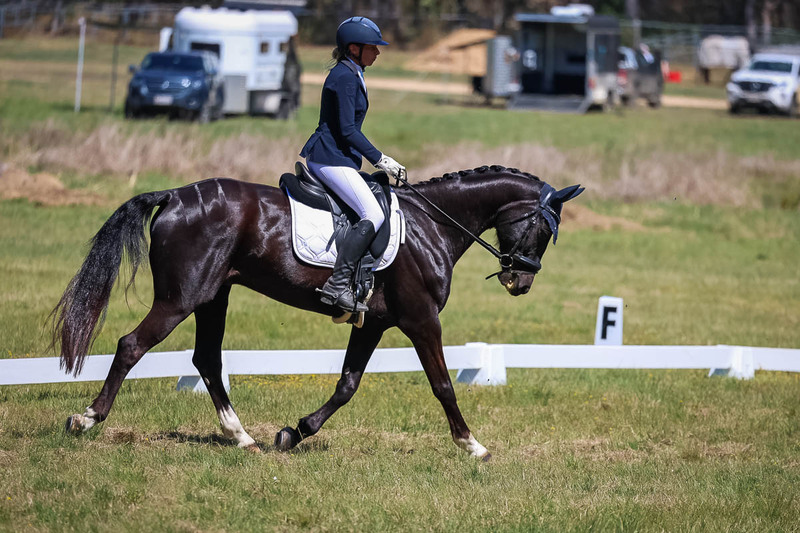 tEG 3DE 2025 Friday Dressage -1510.jpg