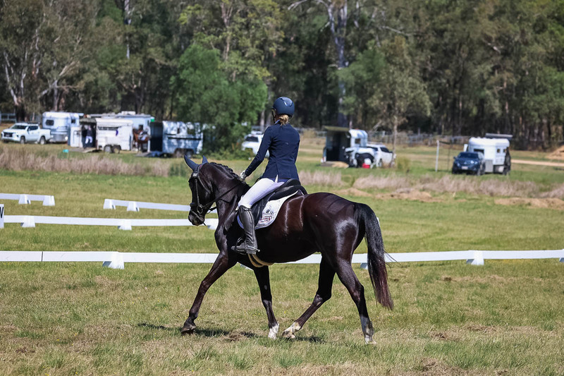tEG 3DE 2025 Friday Dressage -1512.jpg