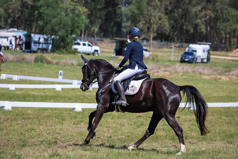 tEG 3DE 2025 Friday Dressage -1513.jpg