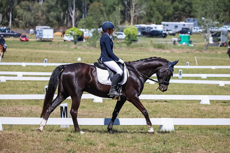 tEG 3DE 2025 Friday Dressage -1515.jpg