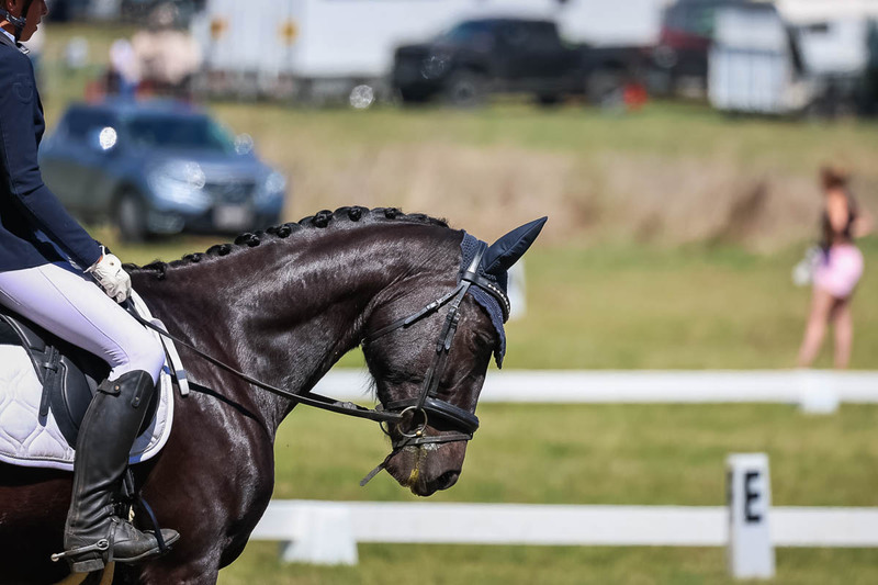 tEG 3DE 2025 Friday Dressage -1516.jpg