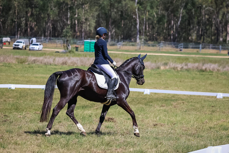 tEG 3DE 2025 Friday Dressage -1519.jpg