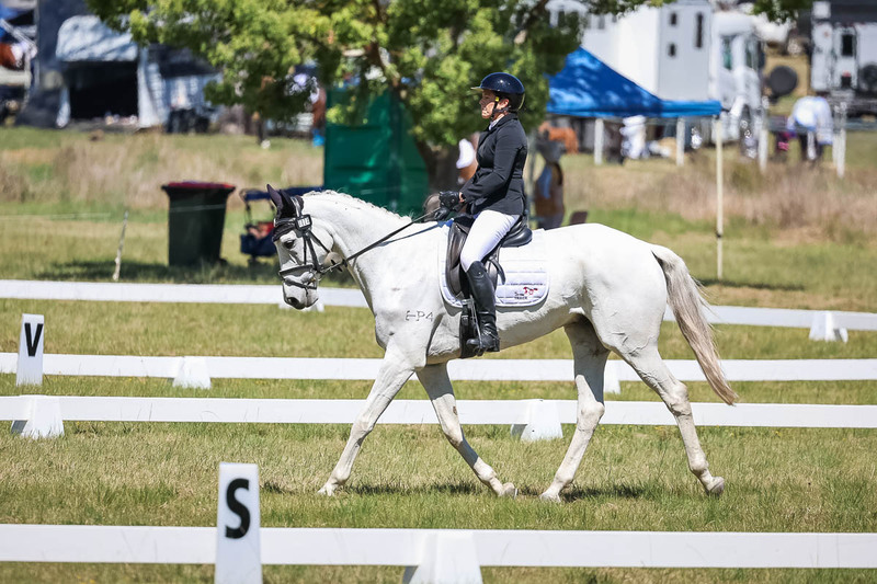 tEG 3DE 2025 Friday Dressage -1530.jpg
