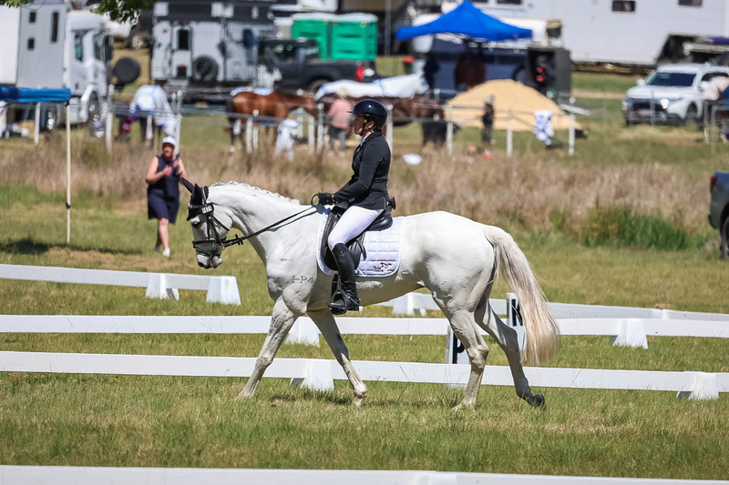 tEG 3DE 2025 Friday Dressage -1532.jpg