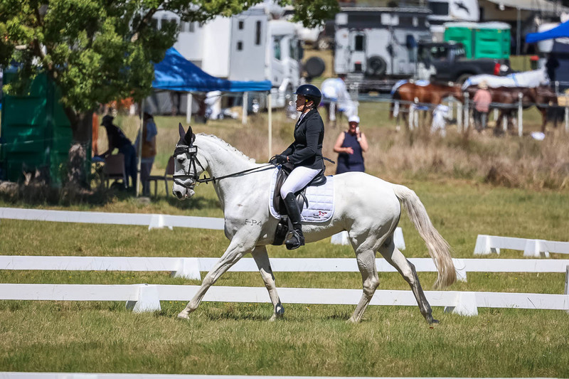 tEG 3DE 2025 Friday Dressage -1533.jpg