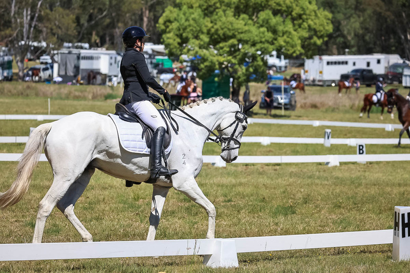 tEG 3DE 2025 Friday Dressage -1535.jpg