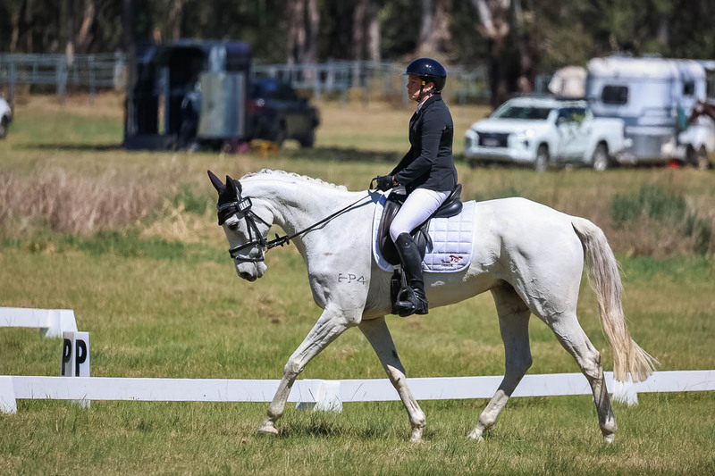 tEG 3DE 2025 Friday Dressage -1536.jpg