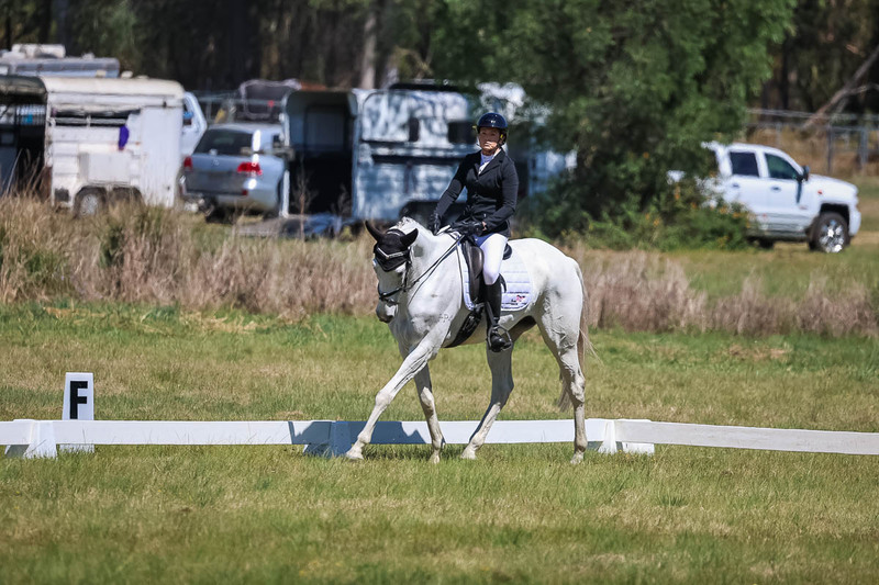 tEG 3DE 2025 Friday Dressage -1539.jpg