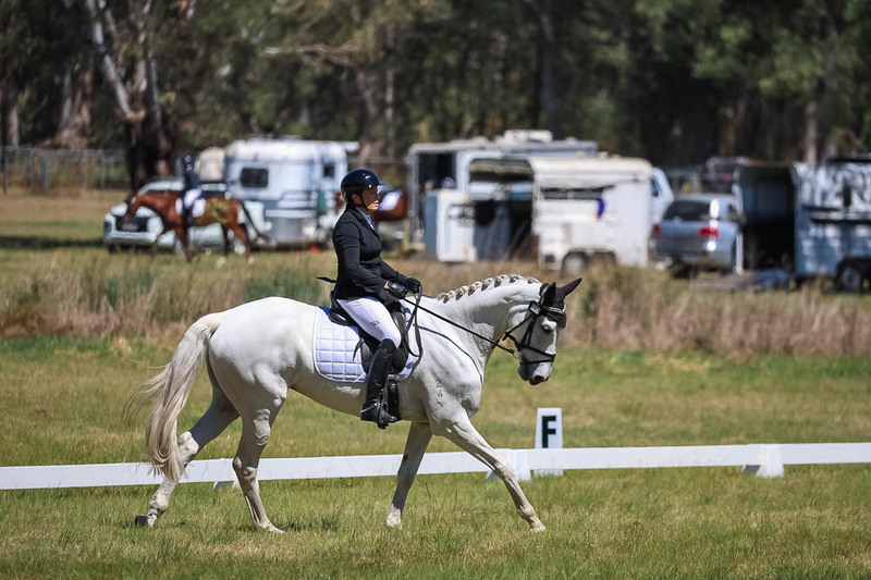 tEG 3DE 2025 Friday Dressage -1541.jpg