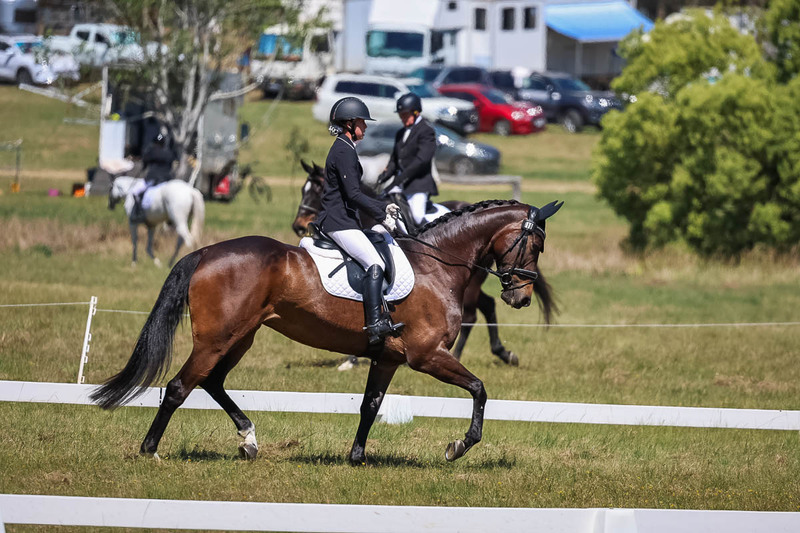 tEG 3DE 2025 Friday Dressage -1545.jpg