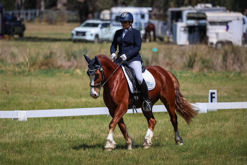tEG 3DE 2025 Friday Dressage -1547.jpg