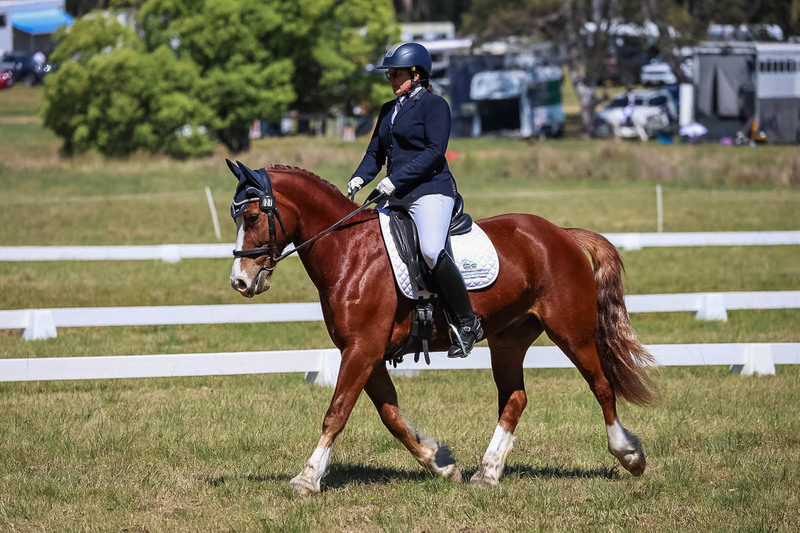 tEG 3DE 2025 Friday Dressage -1548.jpg
