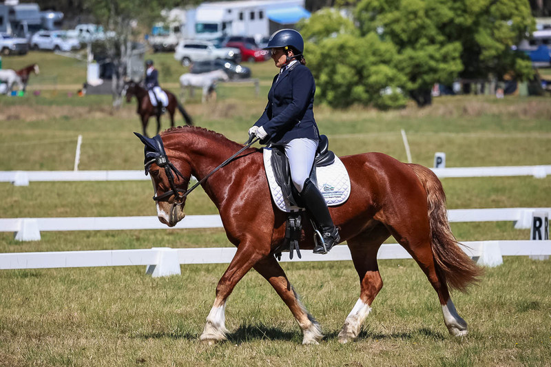 tEG 3DE 2025 Friday Dressage -1549.jpg