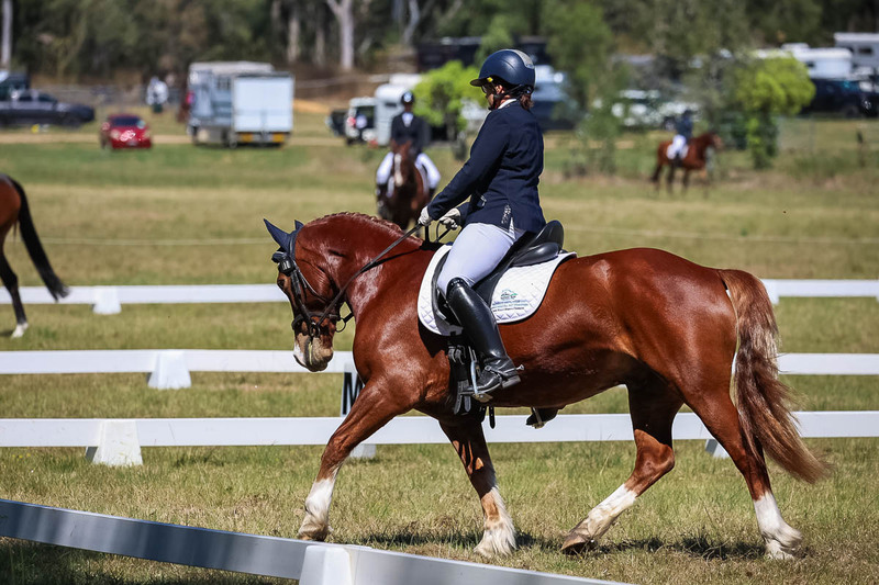 tEG 3DE 2025 Friday Dressage -1550.jpg