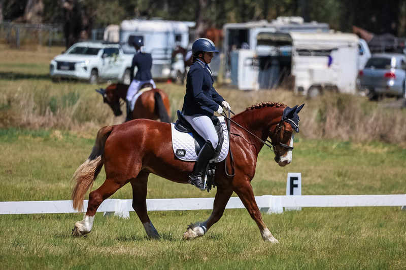 tEG 3DE 2025 Friday Dressage -1552.jpg