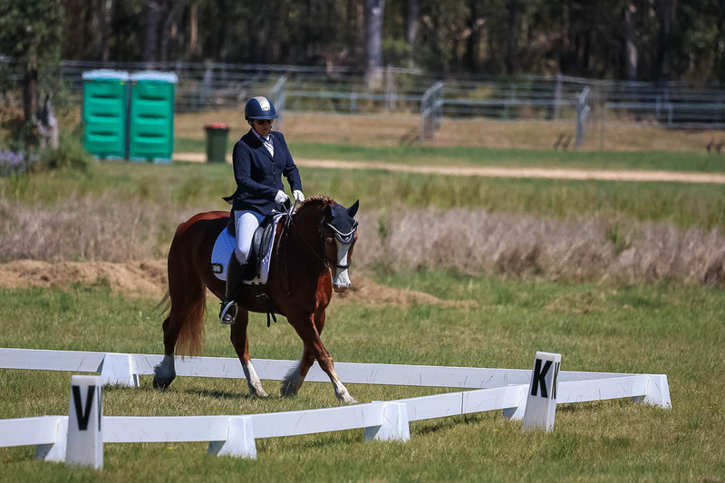tEG 3DE 2025 Friday Dressage -1555.jpg