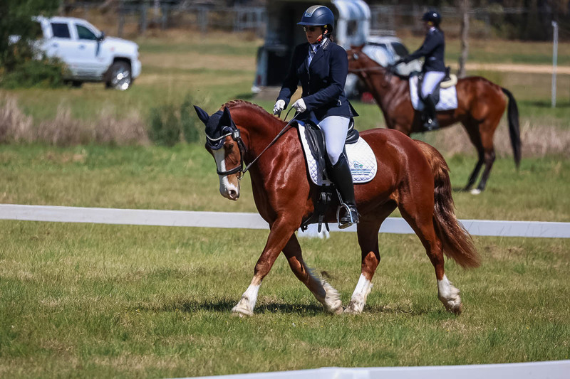 tEG 3DE 2025 Friday Dressage -1556.jpg