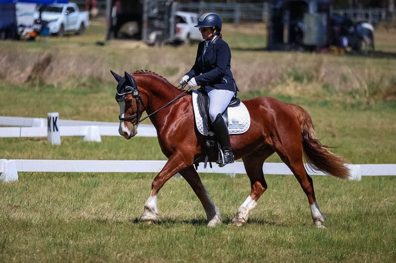 tEG 3DE 2025 Friday Dressage -1557.jpg