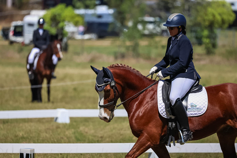 tEG 3DE 2025 Friday Dressage -1559.jpg