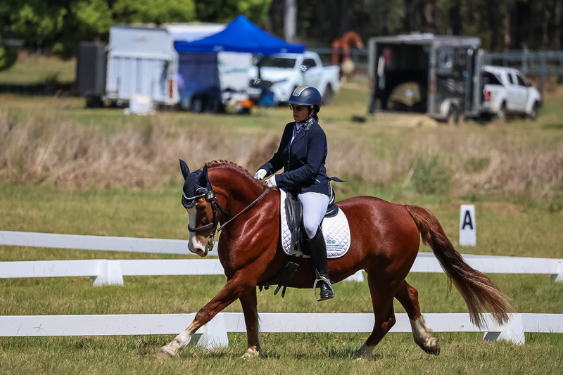 tEG 3DE 2025 Friday Dressage -1560.jpg
