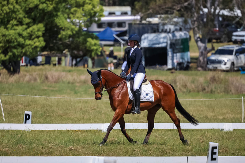 tEG 3DE 2025 Friday Dressage -1561.jpg