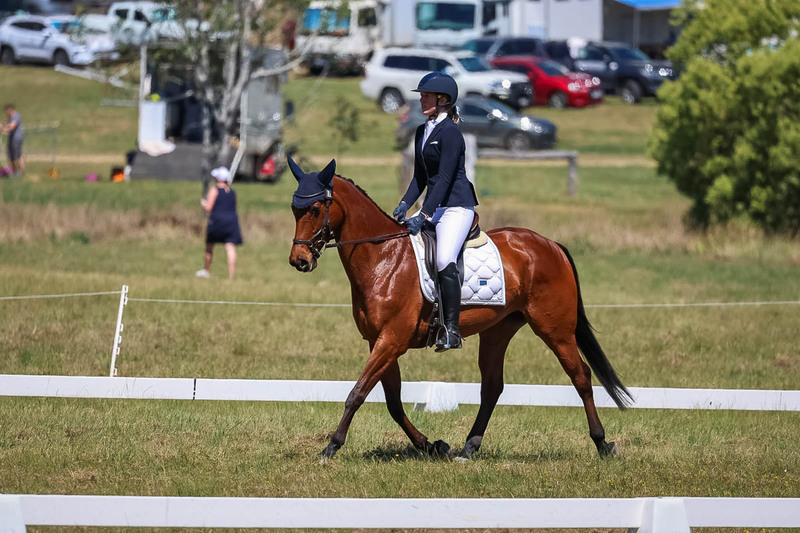 tEG 3DE 2025 Friday Dressage -1562.jpg