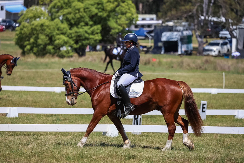 tEG 3DE 2025 Friday Dressage -1563.jpg