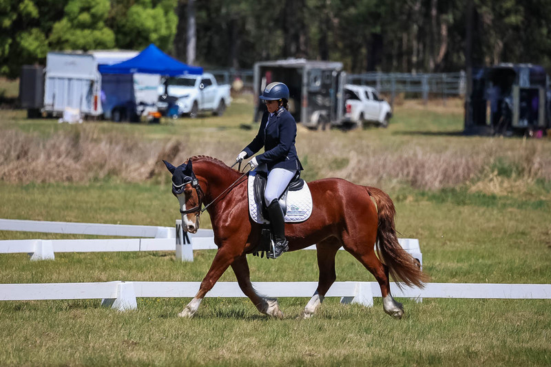tEG 3DE 2025 Friday Dressage -1565.jpg