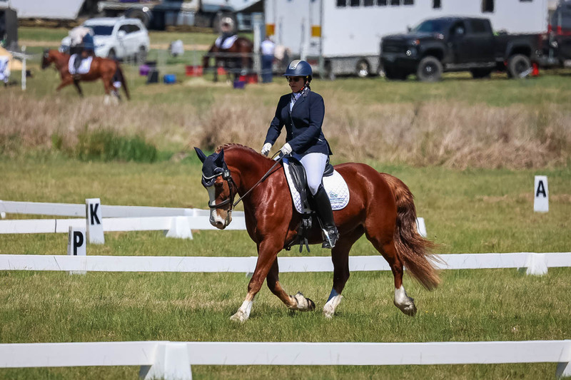 tEG 3DE 2025 Friday Dressage -1568.jpg