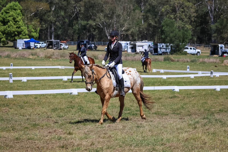 tEG 3DE 2025 Friday Dressage -1573.jpg