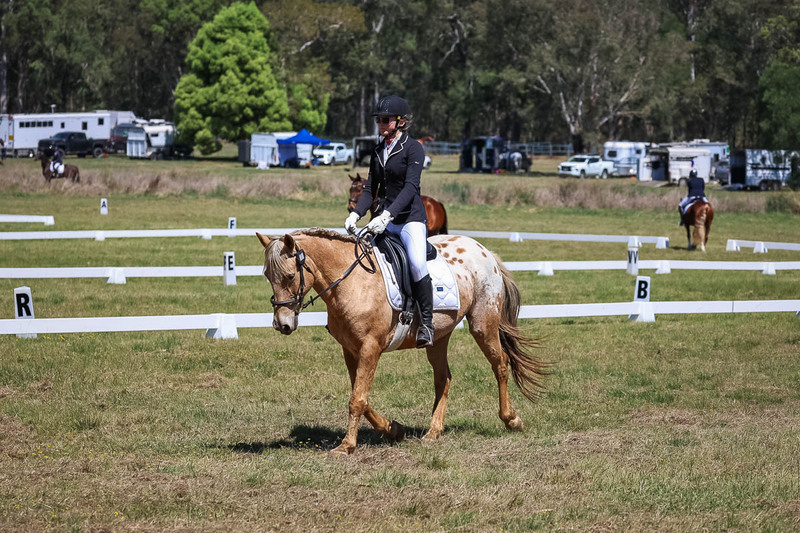 tEG 3DE 2025 Friday Dressage -1574.jpg
