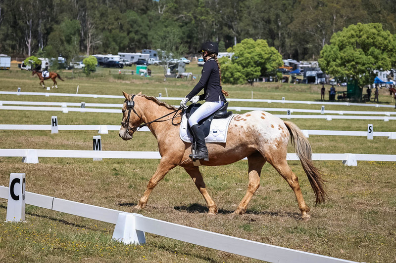 tEG 3DE 2025 Friday Dressage -1575.jpg