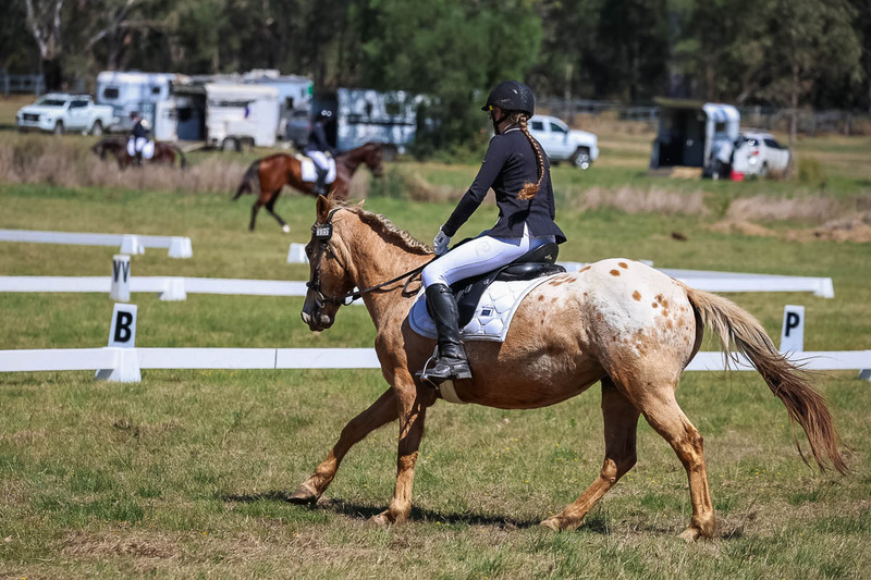 tEG 3DE 2025 Friday Dressage -1578.jpg