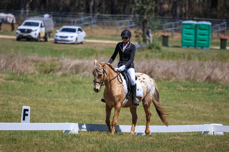 tEG 3DE 2025 Friday Dressage -1580.jpg