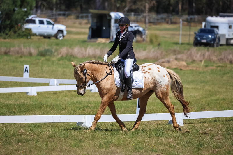 tEG 3DE 2025 Friday Dressage -1581.jpg