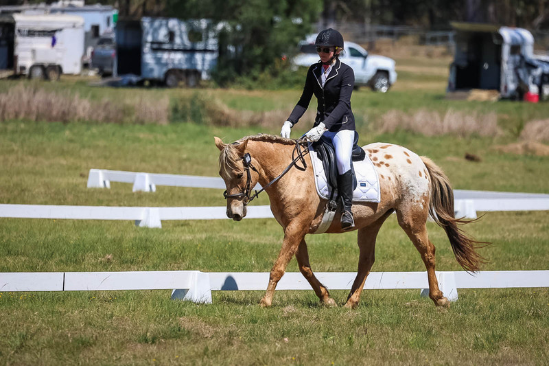 tEG 3DE 2025 Friday Dressage -1582.jpg