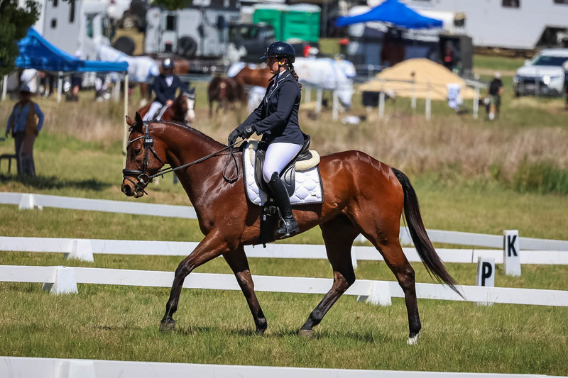 tEG 3DE 2025 Friday Dressage -1583.jpg