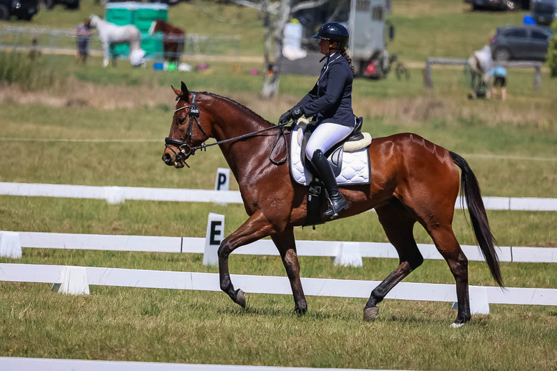 tEG 3DE 2025 Friday Dressage -1585.jpg