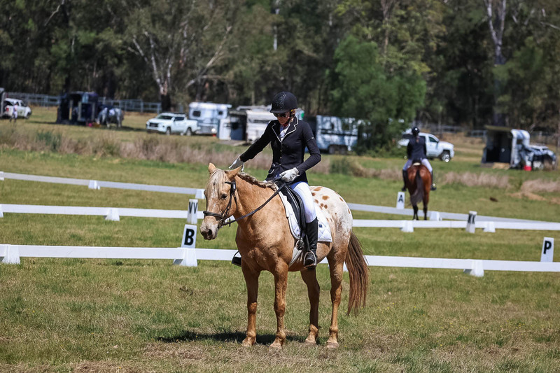 tEG 3DE 2025 Friday Dressage -1587.jpg