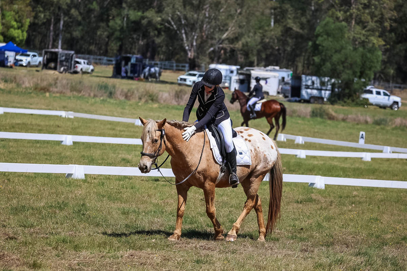 tEG 3DE 2025 Friday Dressage -1588.jpg