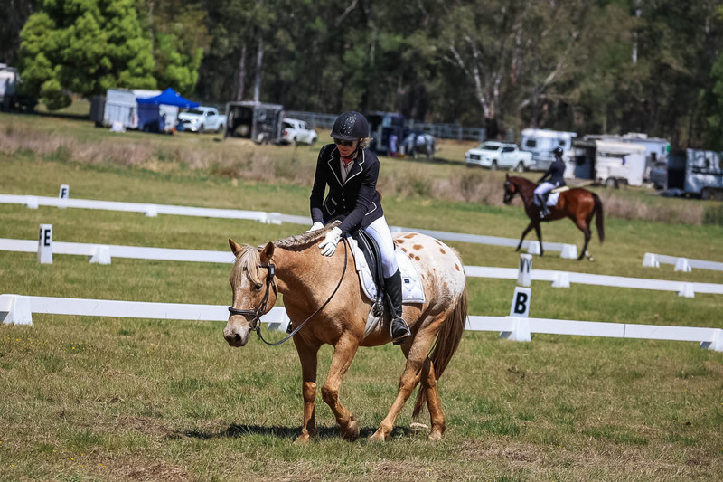 tEG 3DE 2025 Friday Dressage -1589.jpg